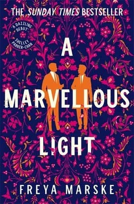 Cover of A Marvellous Light