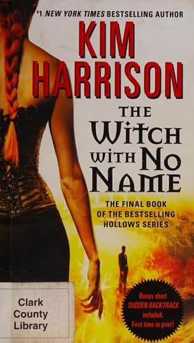Cover of The Witch with No Name
